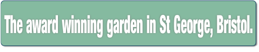 The award winning garden in St George, Bristol..