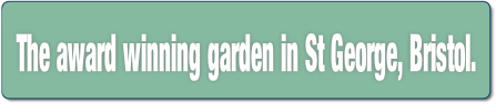 The award winning garden in St George, Bristol..