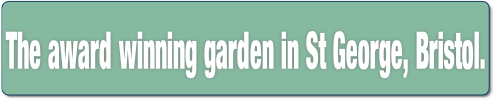 The award winning garden in St George, Bristol..