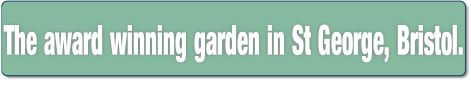 The award winning garden in St George, Bristol..
