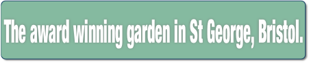 The award winning garden in St George, Bristol..